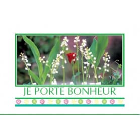 15 cartes de circonstance - Grossiste fleuriste décoration muguet