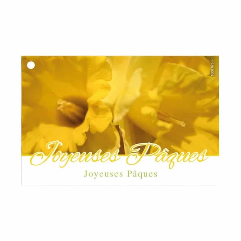 10 cartes de circonstance - Décoration tendance fleuriste design
