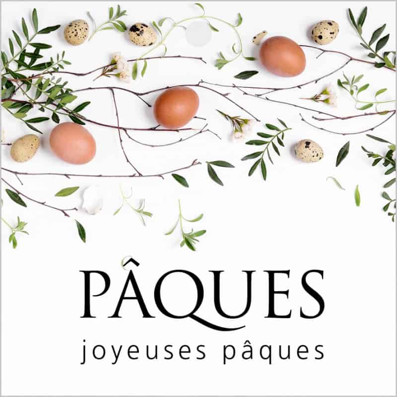 Cartes carrées x12 "Joyeux Pâques" Anita - grossiste Pâques fleurs Cartes carrées x12 "Joyeux Pâques" Anita - grossiste Pâques fleurs