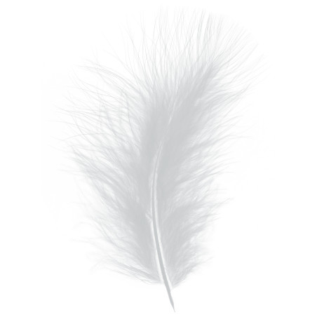 Plume courte Marabout - plumes décoratives - Plusieurs couleurs