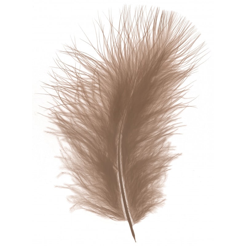 Ostrich Plumes 14-16