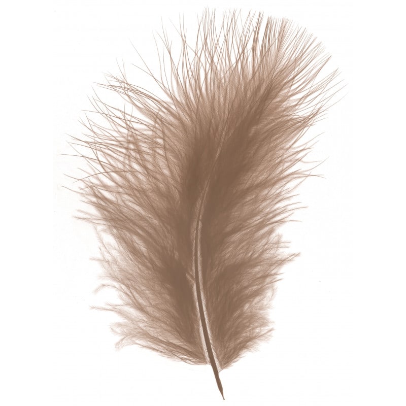 Plume Plume-courte-marabou