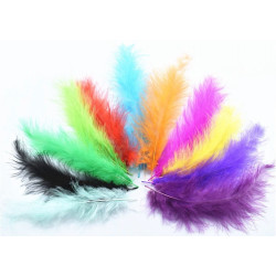 Plume courte Marabout - plumes décoratives - Plusieurs couleurs
