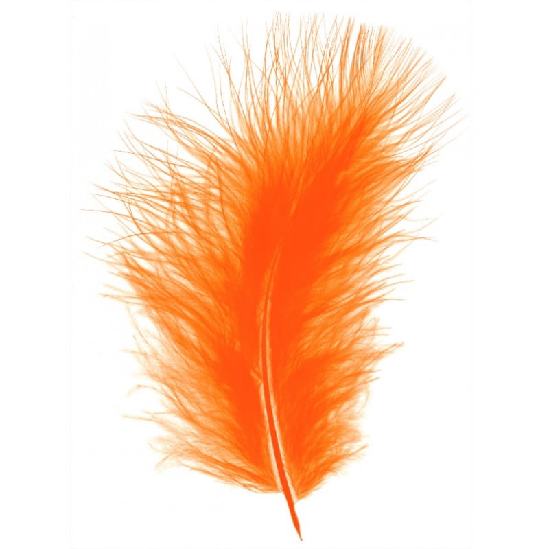 Plume courte Marabout - plumes décoratives - Plusieurs couleurs Plume courte Marabout - plumes décoratives - Plusieurs couleurs