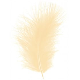 Plumes courtes Marabout -...