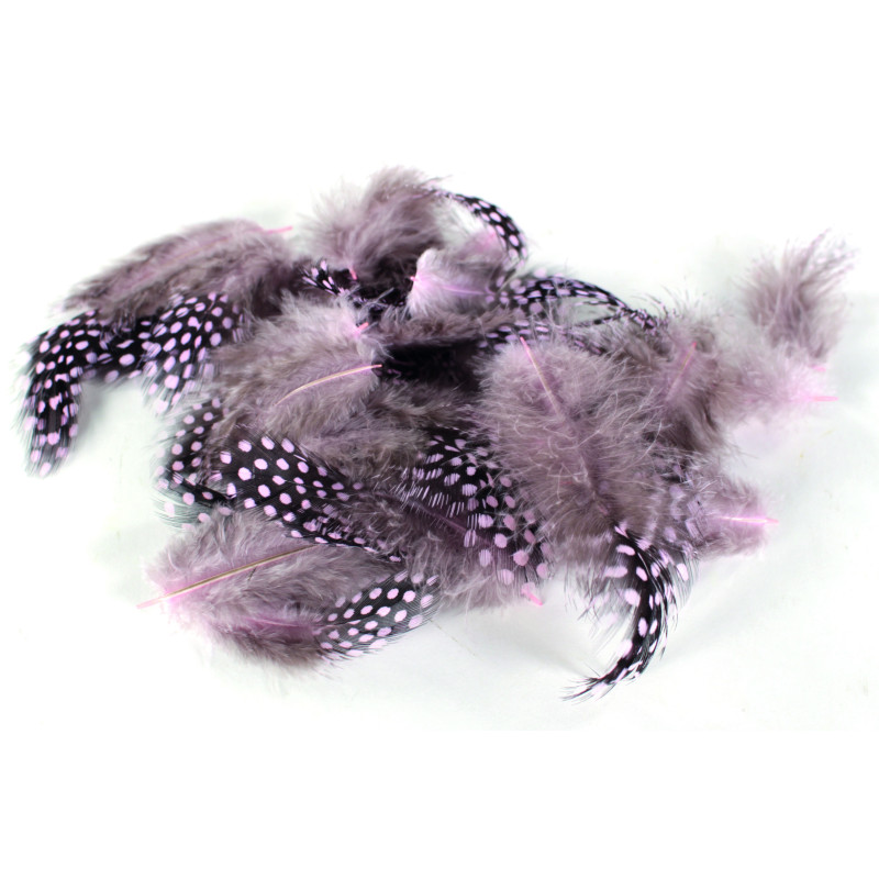 Plumes pintade - Plusieurs coloris - décoration création florale grossiste