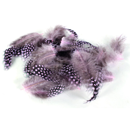 Plumes pintade - Plusieurs coloris - décoration création florale grossiste