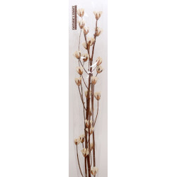 Branche déco Marin - Plusieurs couleurs - grossiste fleurs séchées