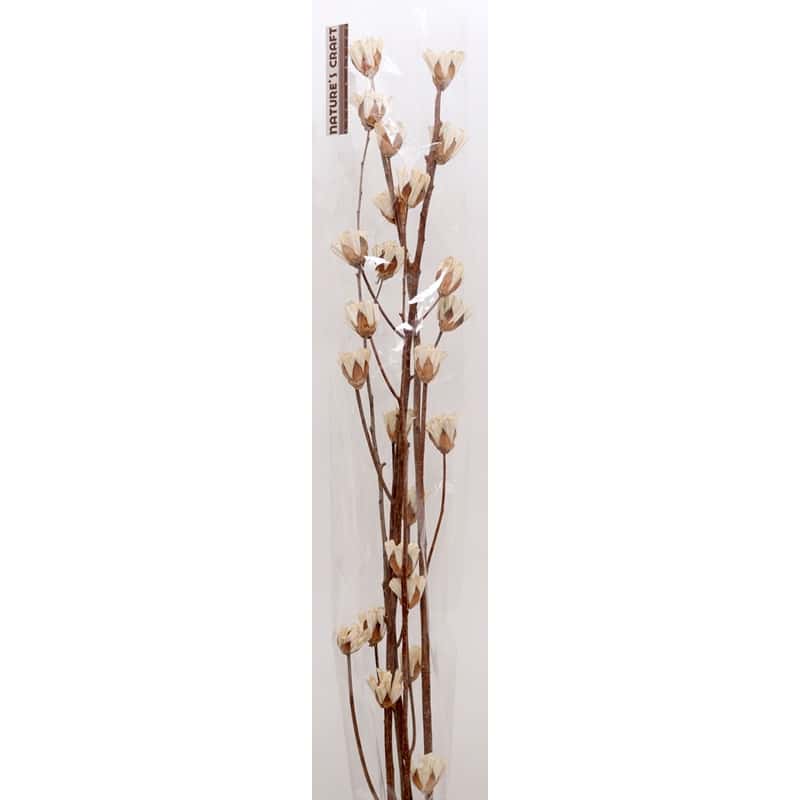 Branche déco Marin - Plusieurs couleurs - grossiste fleurs séchées