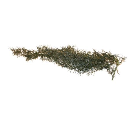 Chute de Tillandsia artificielle - Fleurs artificielle grossiste déco