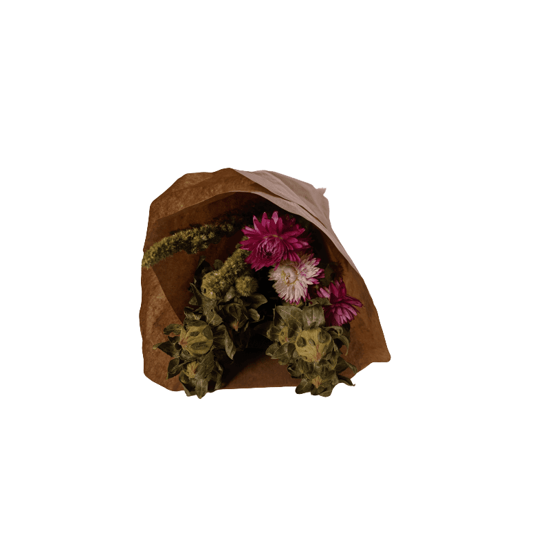 Bouquet de fleurs séchées - Pacxy