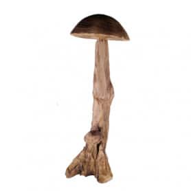Champignon bois avec chapeau arrondi - Grossiste fleuriste décoration