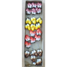 12 champignons sur pic Fallan