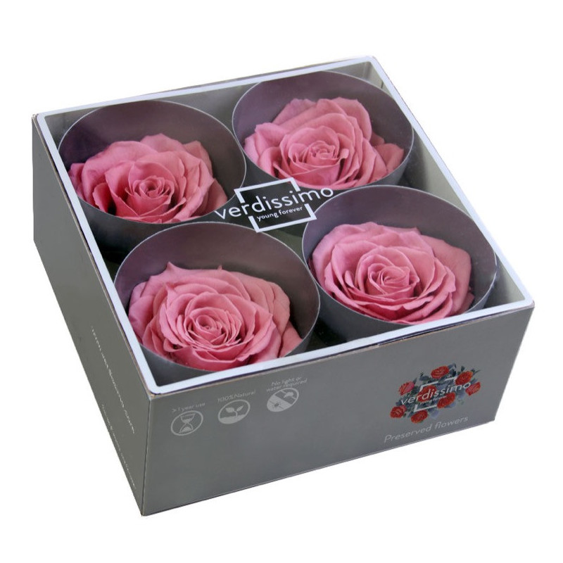 Boite de 4 Têtes de rose éternelle premium plusieurs couleurs