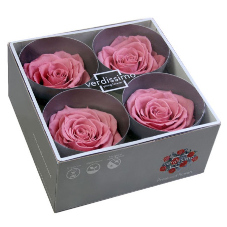 Boite de 4 Têtes de rose éternelle premium plusieurs couleurs