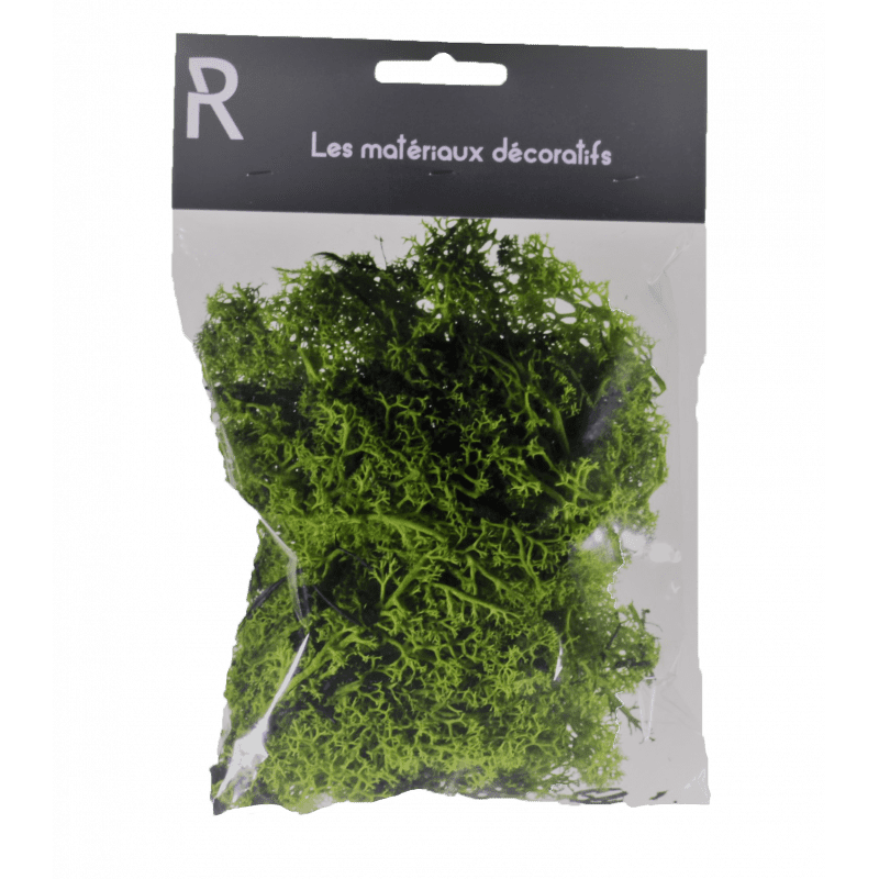 Mousse d'Islande - sachet de 50gr - fleuriste grossiste