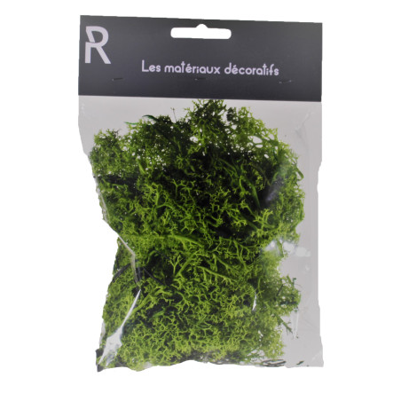 Mousse d'Islande - sachet de 50gr - fleuriste grossiste
