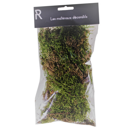 Mousse plate - fleuriste grossiste