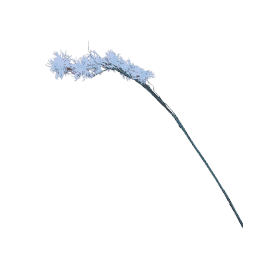 Branche de Xanthium 124cm