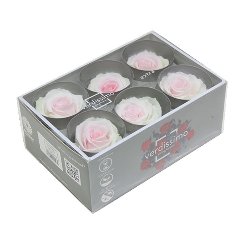 Boite de 6 Têtes de rose Garden - roses éternelles stabilisées