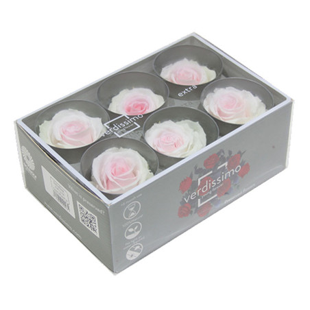 Boite de 6 Têtes de rose Garden - roses éternelles stabilisées