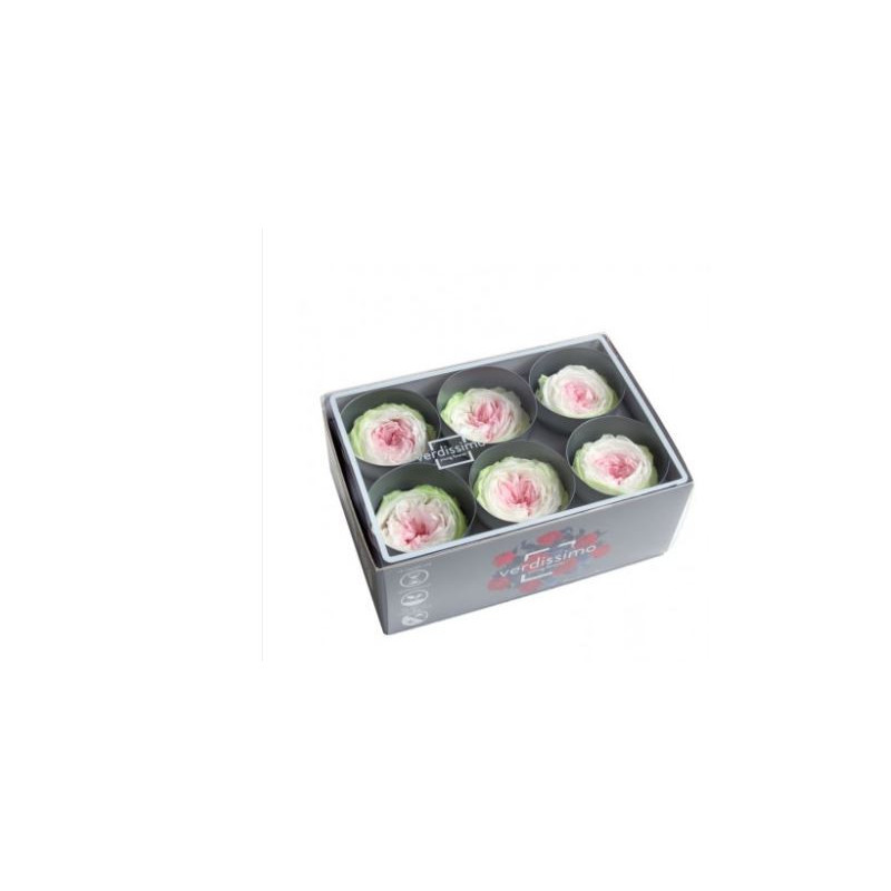 Boite de 6 Têtes de rose Garden - roses éternelles stabilisées