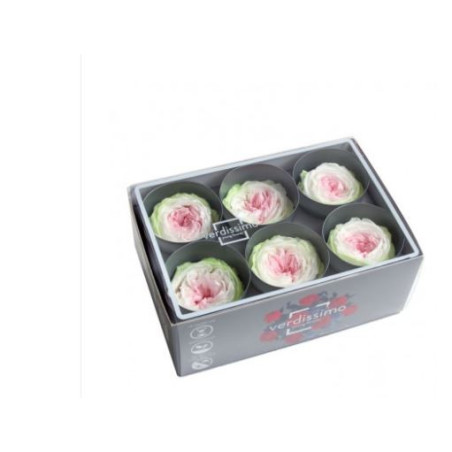 Boite de 6 Têtes de rose Garden - roses éternelles stabilisées