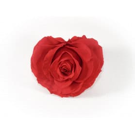 Rose éternelle forme cœur D.8cm - fleurs stabilisées cadeau