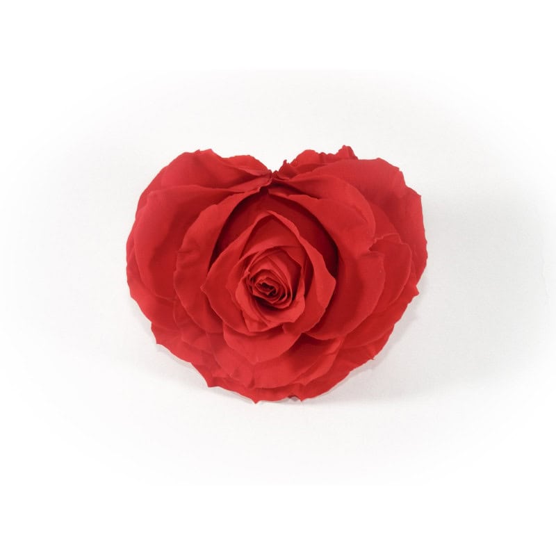 Rose éternelle forme cœur D.8cm - fleurs stabilisées cadeau