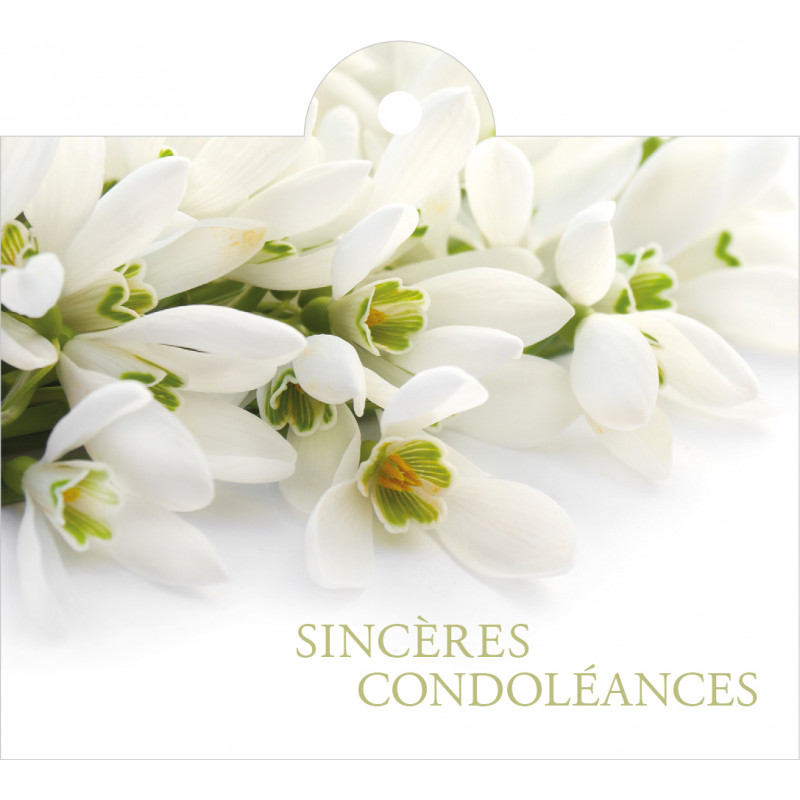 Carte + enveloppes sincères condoléances x 12 - grossiste fleuriste