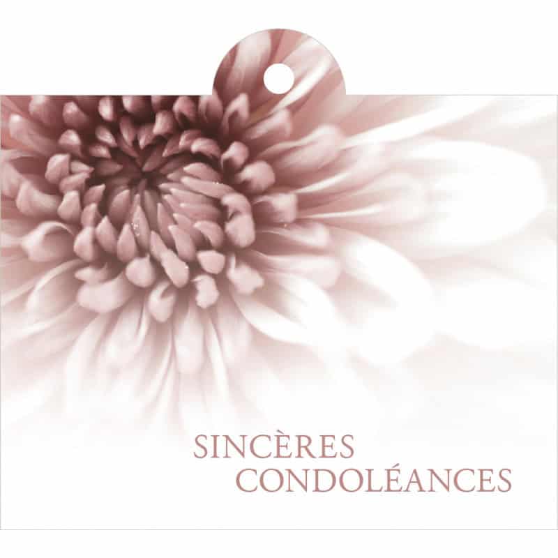 Carte + enveloppes "sincères condoléances" x 12 Julmi - grossiste fleuriste