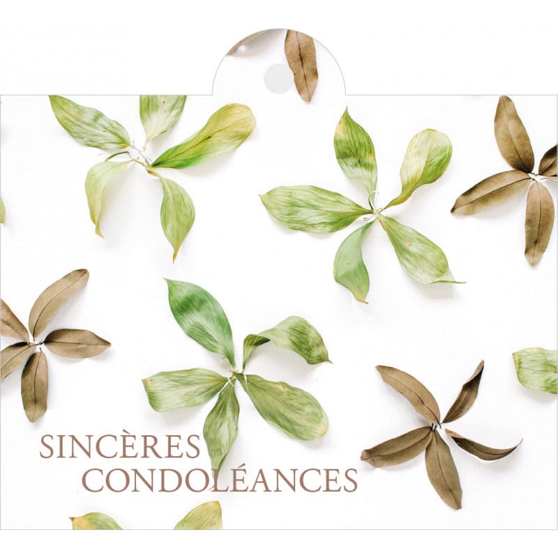 Carte + enveloppes "sincères condoléances" x 12 Julma - grossiste fleuriste