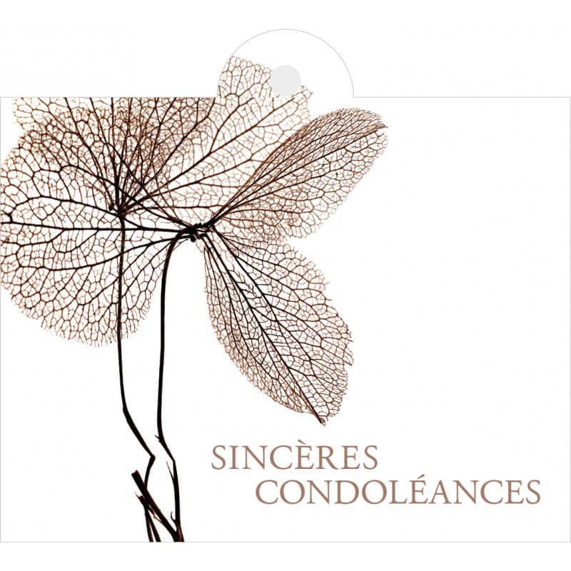 Carte + enveloppes "sincères condoléances" x 12 Julio - grossiste fleuriste