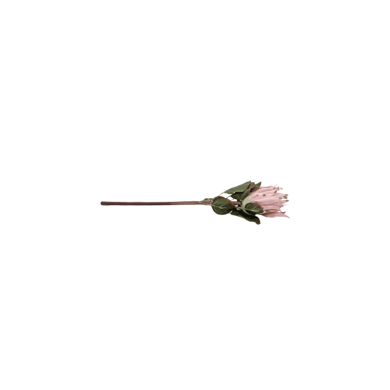 Branche de Protea - 58cm - grossiste fleurs artificielles Branche de Protea - 58cm - grossiste fleurs artificielles