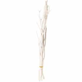 Mitsumata 100/110 cm - Plusieurs couleurs - grossiste éléments secs
