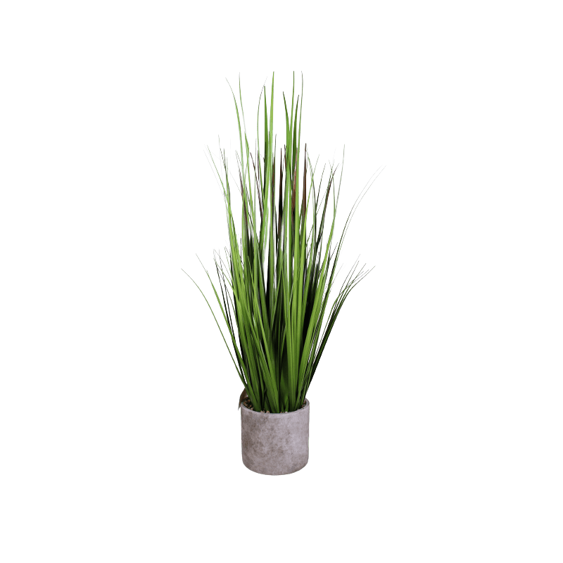 Herbe en pot Gema - H. 65cm - décoration grossiste