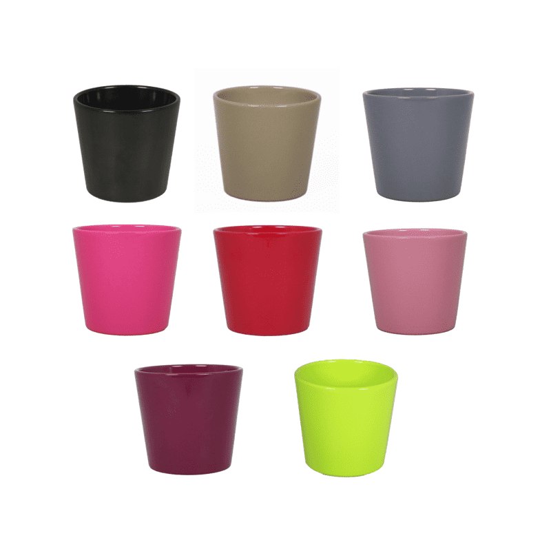 Pot Phalaeno Premium - D.13cm x H. 12cm - Plusieurs couleurs - grossiste fleuriste