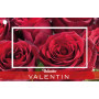 Carte Brillante "Saint Valentin" 7x10cm- Rouxa