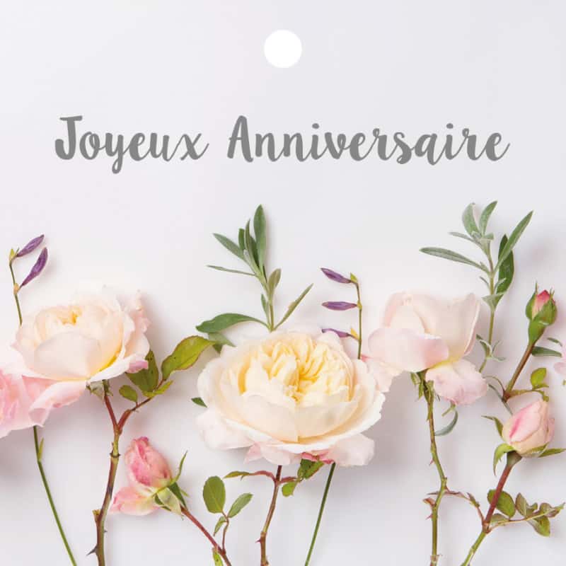 Bon anniversaire JAJA Carte-carree-75-x-75-cm-12-pcs-sophy