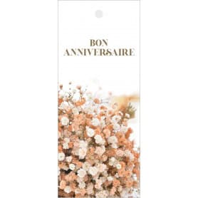 Carte longue 12 x 5 cm 12...