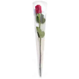 Etui à rose single stem sleeve - Lolla