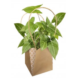 Sac 11,5 x H 13 CM - Dune