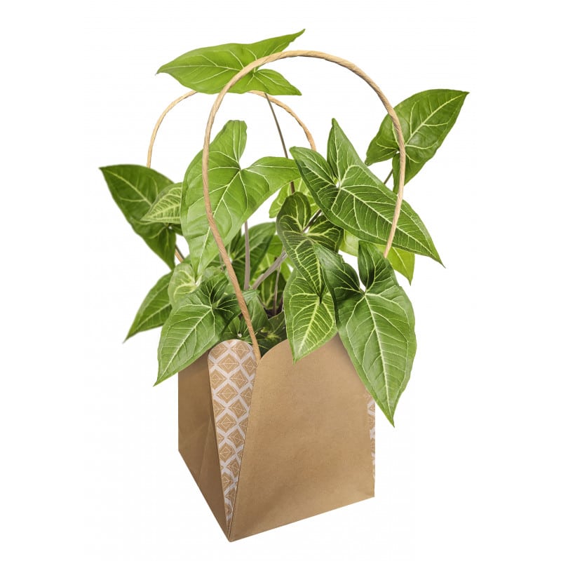 Sac 11,5 x H 13 CM - Dune Sac 11,5 x H 13 CM - Dune
