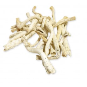 Cabbage root 500 GRS - Lyon