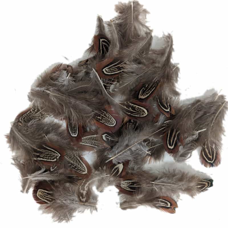 Plume faisan 3 - 7 CM 15GRS - Surpy Plume faisan 3 - 7 CM 15GRS - Surpy