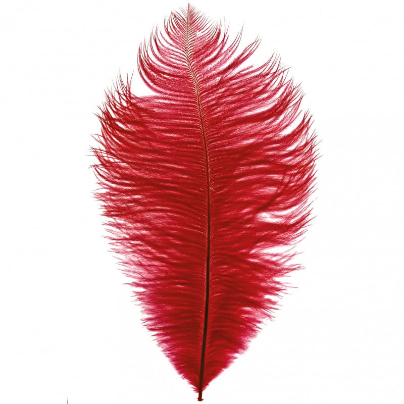 Plume d'autruche 30 - 35 CM x 5pcs - Orqua Plume d'autruche 30 - 35 CM x 5pcs - Orqua