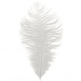 Plume d'autruche 30 - 35 CM x 5pcs - Orqua