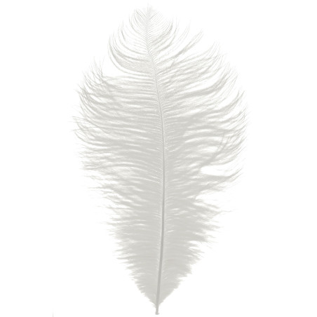 Plume d'autruche 30 - 35 CM x 5pcs - Orqua