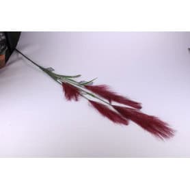Branche Gynerium 145 CM -2...