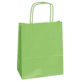 50 sacs kraft vert grossiste sac kraft